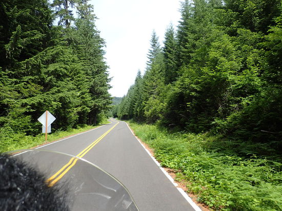 Immer so schön grün