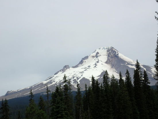Mt Hood
