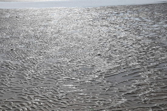 Ebbe am Spanish Banks Strand