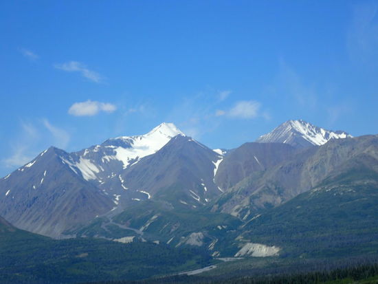 Oje, schon wieder zu viele Fotos