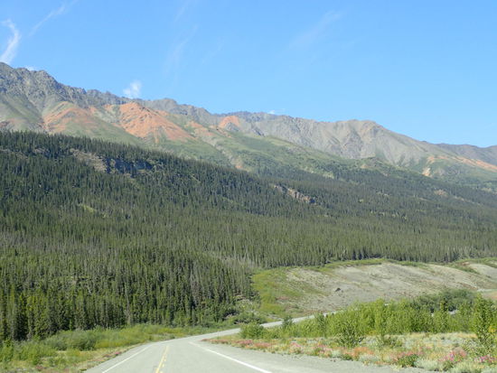 So abwechslungsreich