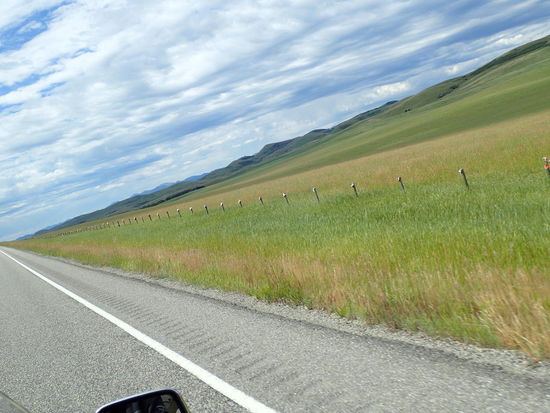 Auf diesem Weidezaum welcher etwa 3km lang war hing an jedem Pfeiler eine Kappe