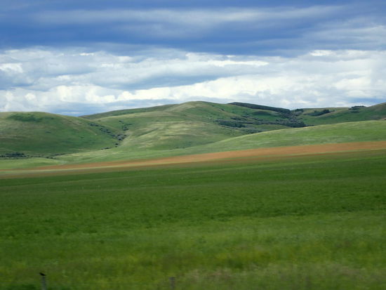 Nach dem Regen so schön grün