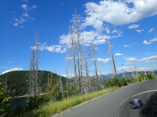 Auf dem Weg zum Staudamm hat es wohl vor einiger Zeit ein Feuer gegeben