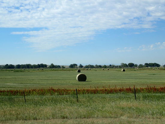 Hier warten viele Heuballen auf den Abtransport