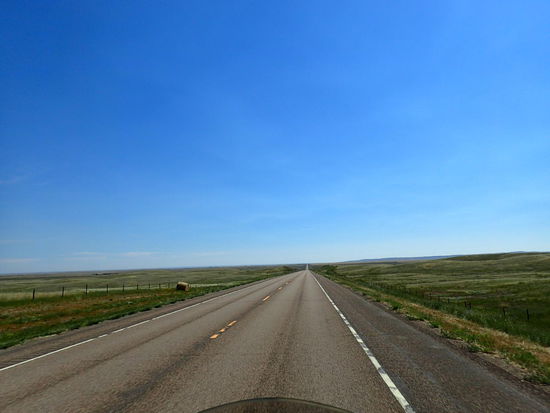 Immer der Nase nach - kein Wunder, dass es mir langweilig wird