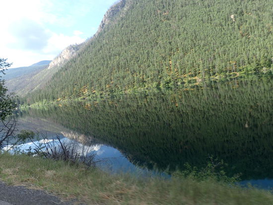Hier spiegelt sich der Wald im Wasser