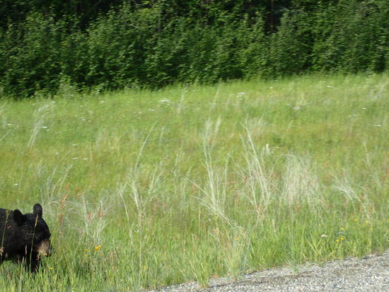 Ganz nah, aber leider nur halb am Foto