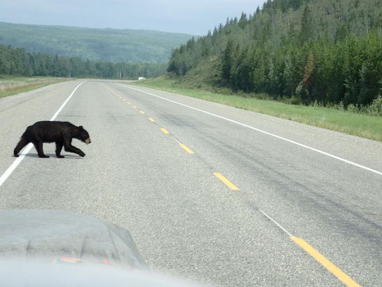 Aber jetzt hab ich dich