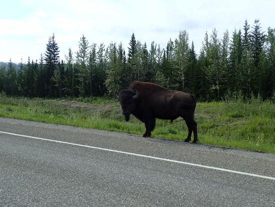 Ja ja, wir fahren schon weiter