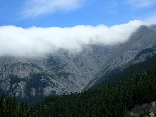 Aber dies ist das alles wert