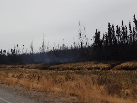 Hier Bilder der Waldbrände
