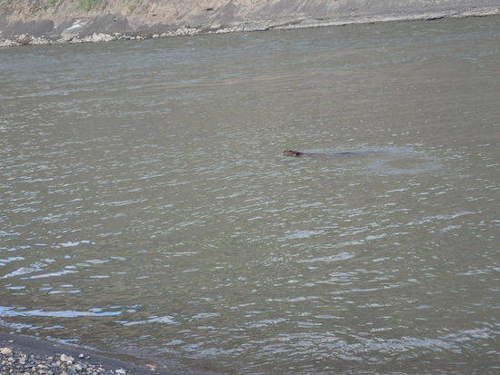 Und fertig, tschüss