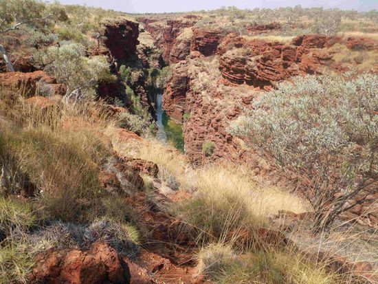 Erster Blick in die Schlucht