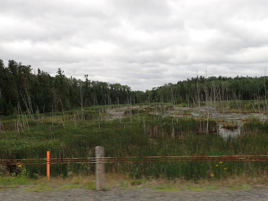 Es ist zwar etwas trüb aber wunderschön