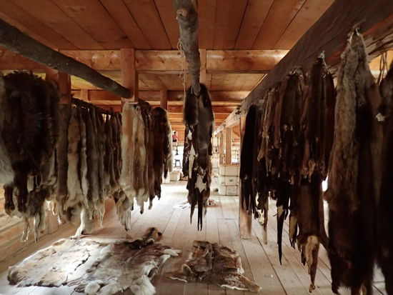 Hier werden die Felle angeboten