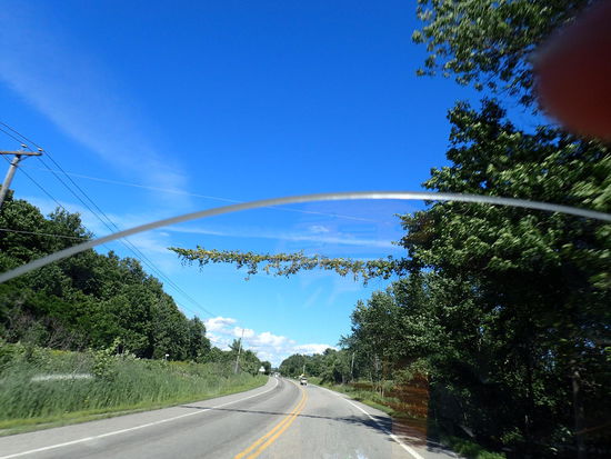 Der hat sich wohl das GPS beim Wachsen nicht eingeschaltet 