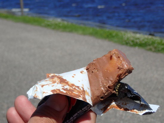 So sieht Arnos Mars nach drei Tagen Sonnenbestrahlung aus 