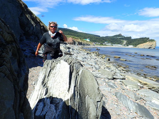 Immer voller Einsatz 