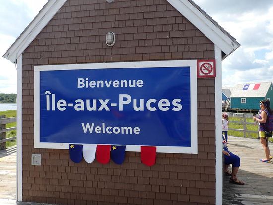 Willkommen auf der Flohinsel