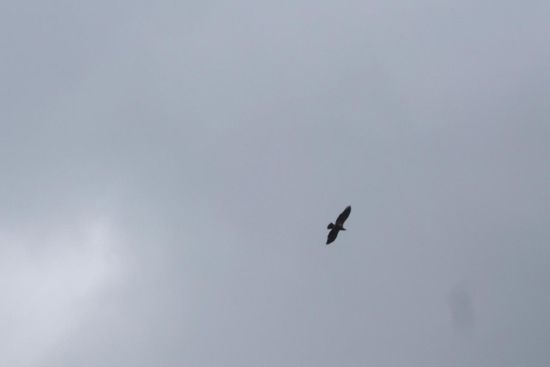 Und jetzt hat er genug von uns