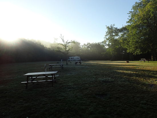 Nebel und Sonne am Morgen