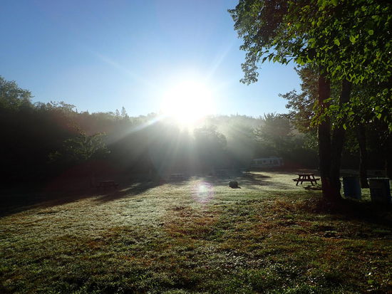 Sie bemüht sich aber auch 