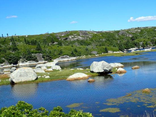 Und das Landleben geht weiter 