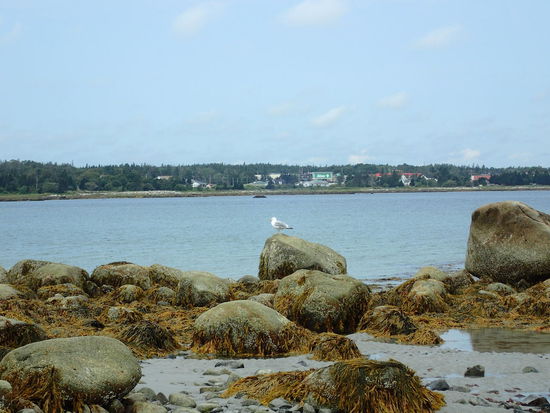 Mittagspause an der Küste