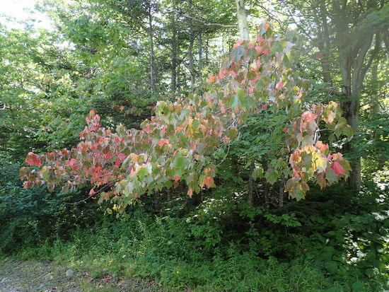 Aber ich konnte ein paar schöne Fotos schießen