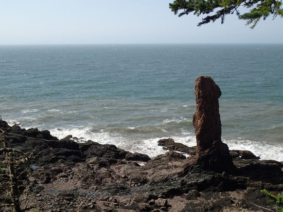 Das ist wohl der vergessene Bruder - nein, dies nennt man Stick und ist auch eine "Laune" der Natur