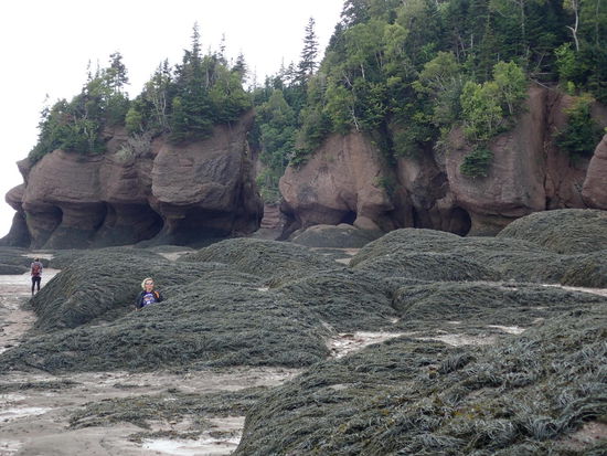 Hopewell rocks