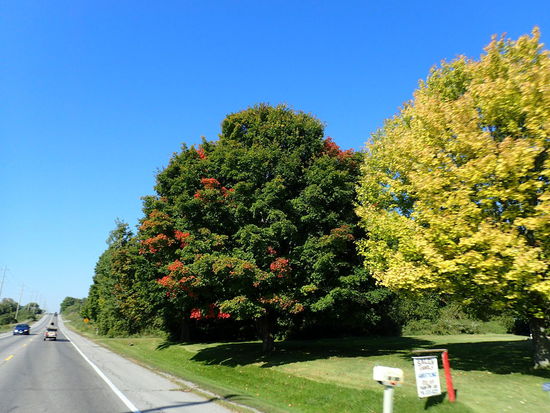 Der Herbst setzt schon seine farblichen Akzente