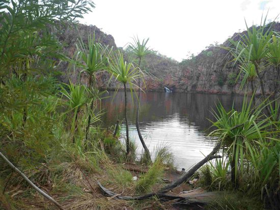 Edith Falls - Schwimmbecken