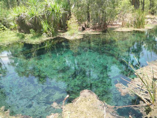 Mataranka - wusste nicht welches ich nehmen soll