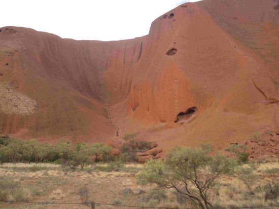 Die verschiedensten Umwelteinflüsse zeigen ihre "Handschrift"