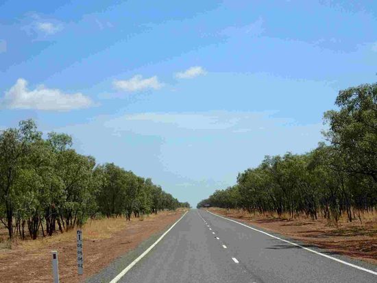 Es wird immer grüner an manchen Stellen