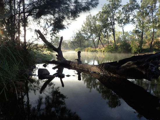 Sonnenaufgang am Fluss