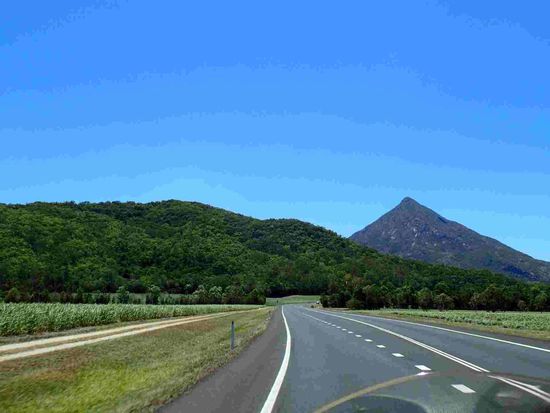 Zuckerrohr rechts und links der Straße