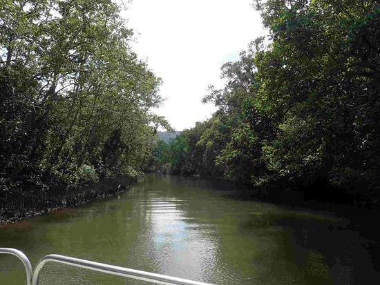 Flussfahrt die Erste