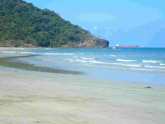 Cape Tribulation