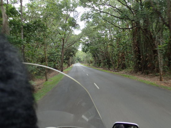 Es ist unglaublich grün und schön hier