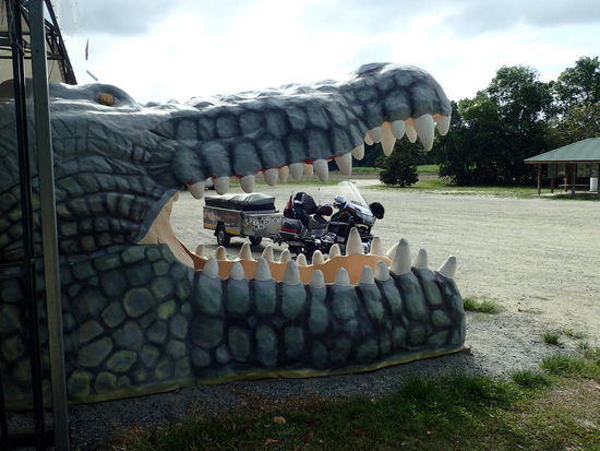 Ups, hoffentlich steht der nicht auf Goldwings