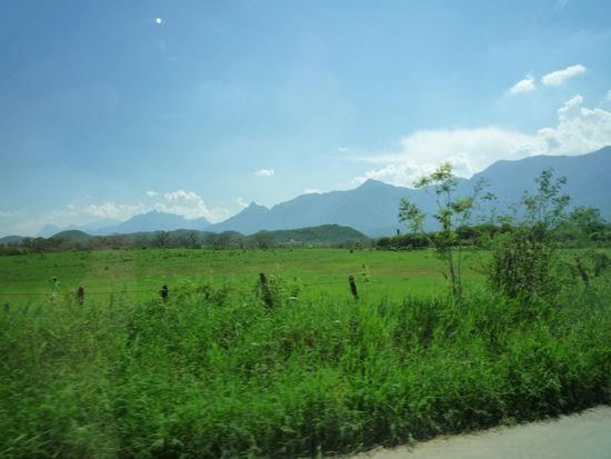 das könnte auch im Schwarzwald sein 