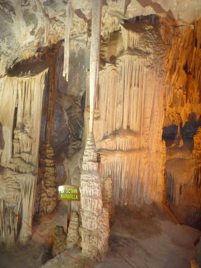 "LA OCTAVA MARAVILLA" (Bild 4)