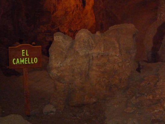 Äna was wird das wohl sein? Zugegeben am Stein nicht auf Anhieb zu erkennen... (Bild 3)