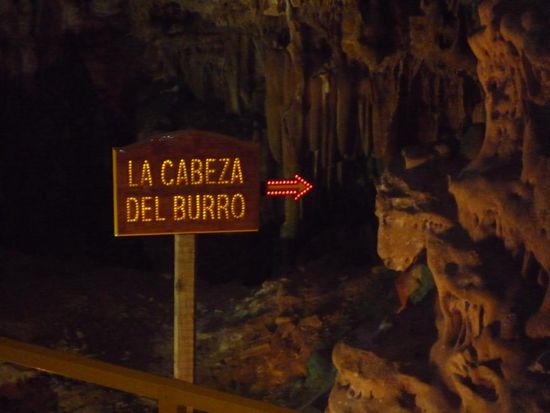 und erraten? (Bild 5)