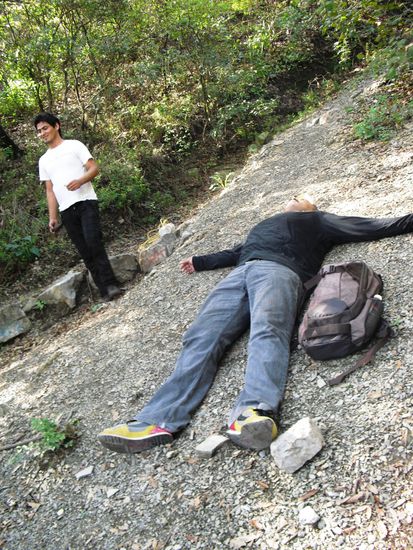 Bernardo beim Versuch ein "Schnee"engelchen zu sein.