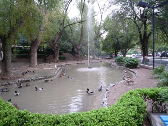 der Park am Planetarium