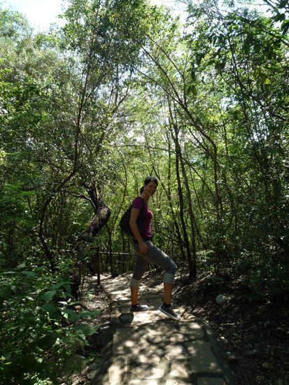 der Weg zum Wasserfall